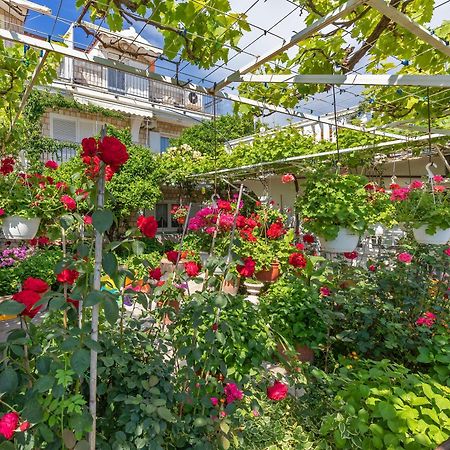 Apartmani Galic 2 Mlini Kültér fotó