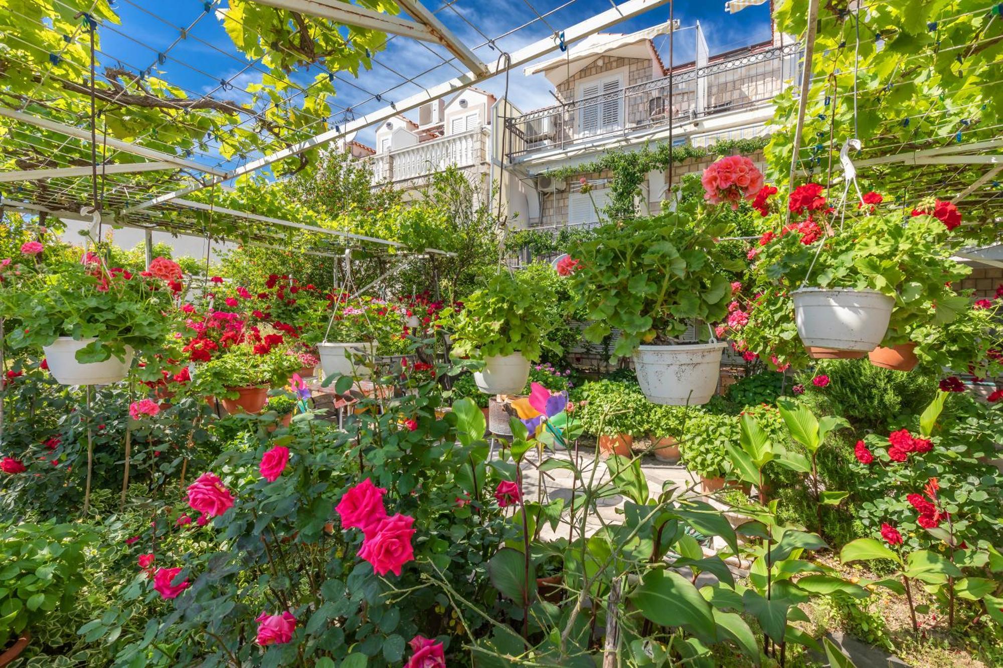 Apartmani Galic 2 Mlini Kültér fotó