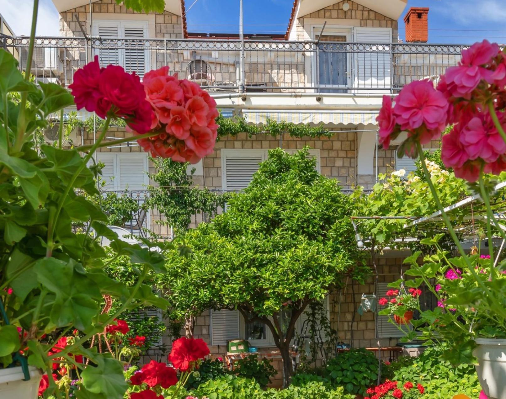 Apartmani Galic 2 Mlini Kültér fotó